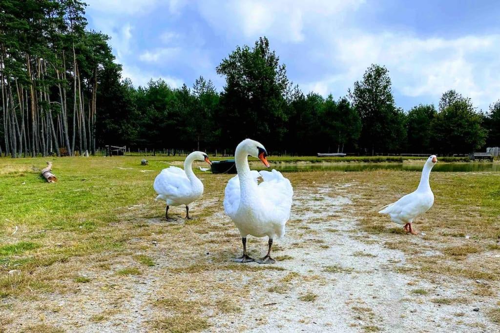 Le Perchoir Villa Chatenoy  Bagian luar foto