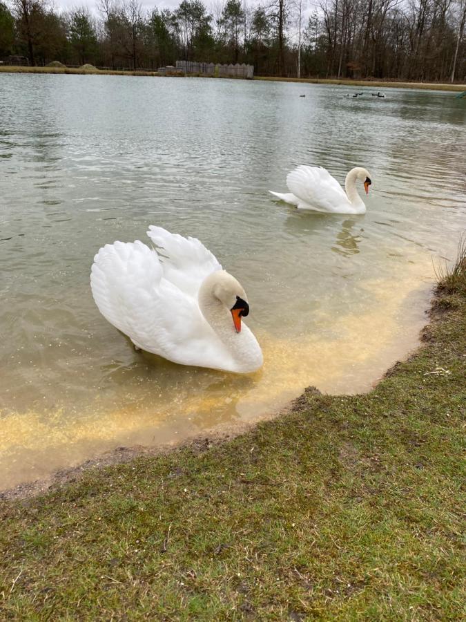 Le Perchoir Villa Chatenoy  Bagian luar foto