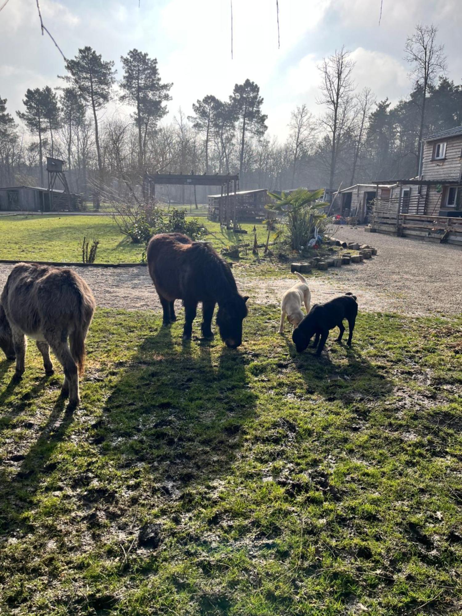 Le Perchoir Villa Chatenoy  Bagian luar foto